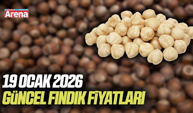 19 Ocak 2026 güncel fındık fiyatları