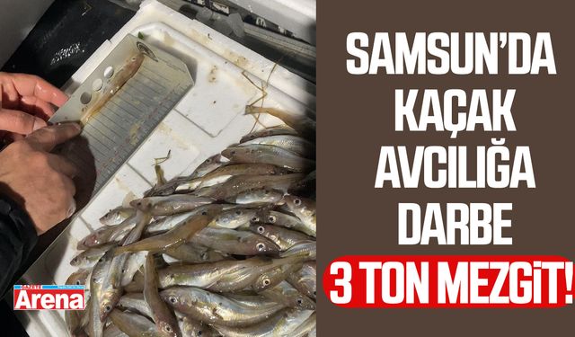 Samsun’da kaçak avcılığa darbe: 3 ton mezgit ele geçirildi