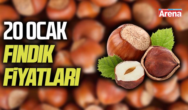 20 Ocak 2026 fındık fiyatları açıklandı