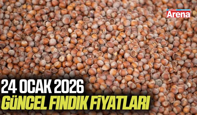 24 Ocak 2026 güncel fındık fiyatları