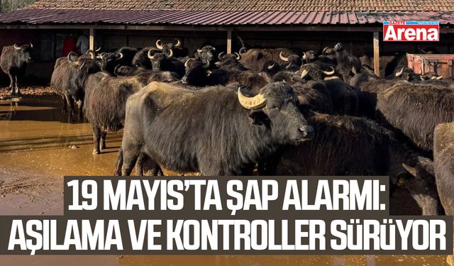 19 Mayıs’ta şap alarmı: Aşılama ve kontroller sürüyor