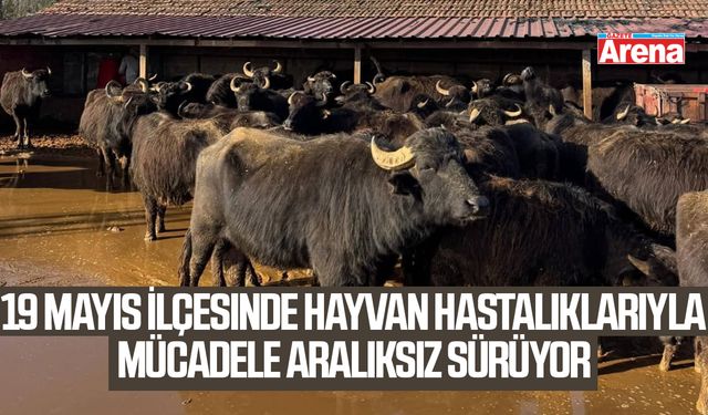 19 Mayıs'ta hayvan hastalıklarıyla mücadele aralıksız sürüyor