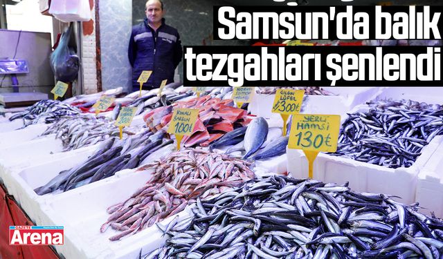 Samsun'da balık tezgahları şenlendi