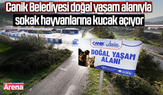 Canik Belediyesi sokak hayvanlarına kucak açıyor