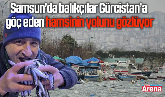 Samsun'da balıkçılar Gürcistan’a göç eden hamsinin yolunu gözlüyor