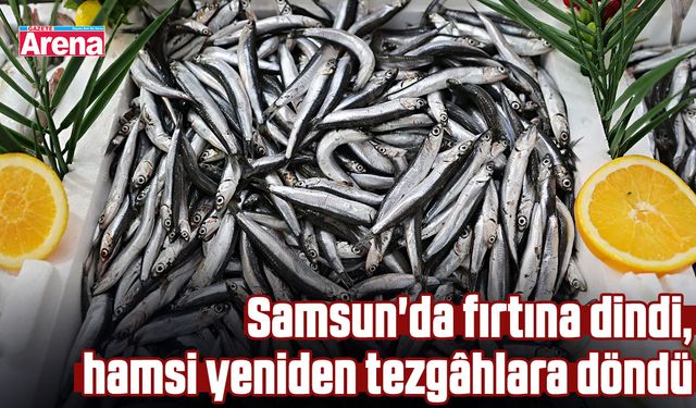 Samsun'da fırtına dindi, hamsi yeniden tezgâhlara döndü