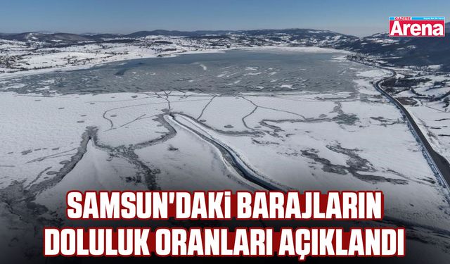 Samsun'daki barajların doluluk oranları açıklandı