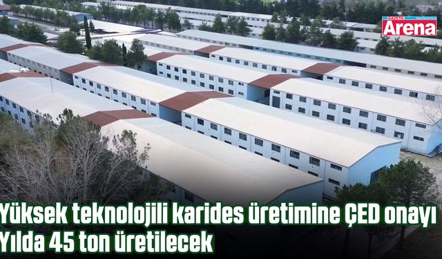 Samsun'da yüksek teknolojili karides üretilecek