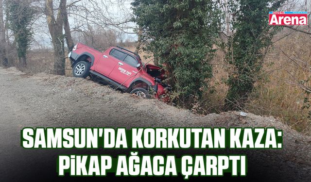 Samsun'da korkutan kaza: Pikap ağaca çarptı
