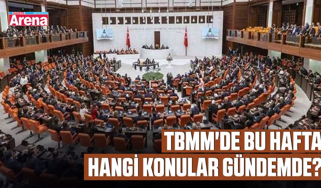 TBMM'de bu hafta hangi konular gündemde?