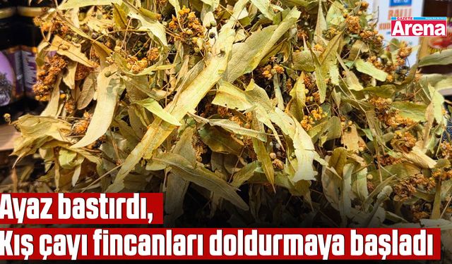 Ayaz bastırdı, Kış çayı fincanları doldurmaya başladı