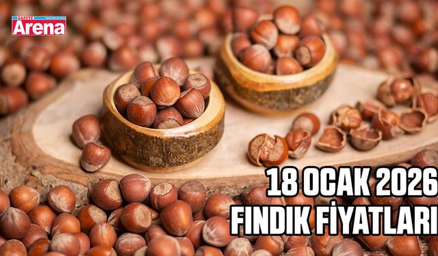 18 Ocak 2026 fındık fiyatları açıklandı: İl il güncel liste