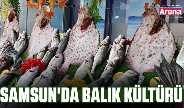 Samsun'da balık kültürü