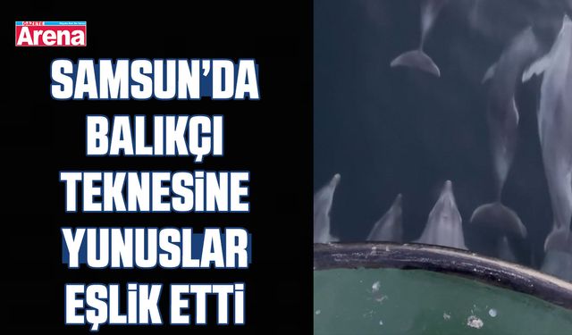 Samsun’da balıkçı teknesine yunuslar eşlik etti