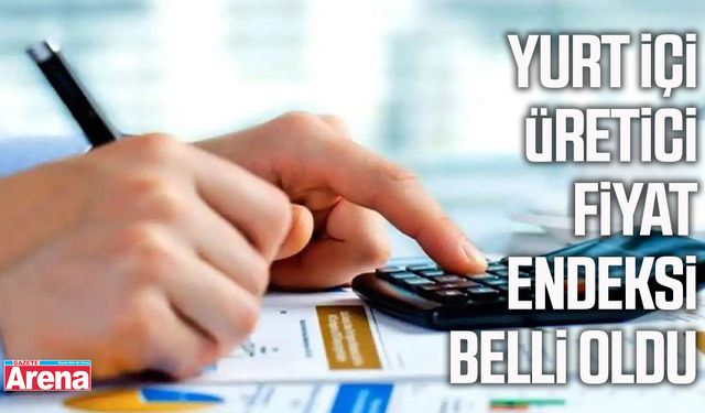 Yurt içi üretici fiyat endeksi belli oldu