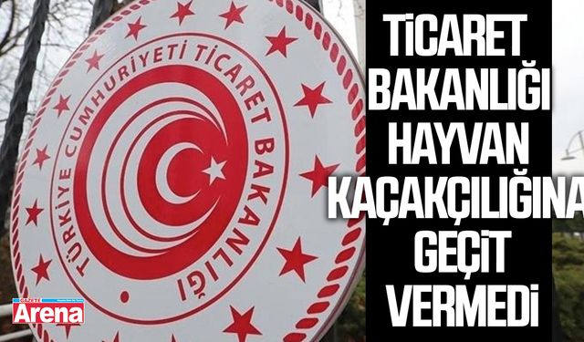 Ticaret Bakanlığı hayvan kaçakçılığına geçit vermedi