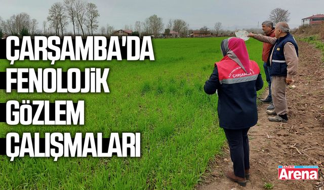 Çarşamba'da fenolojik gözlem çalışmaları