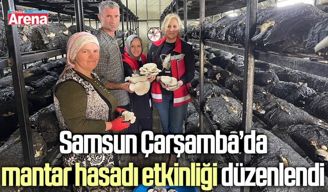 Samsun Çarşamba’da mantar hasadı etkinliği düzenlendi