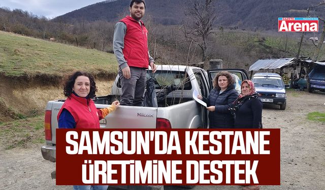 Samsun'da kestane üretimine destek
