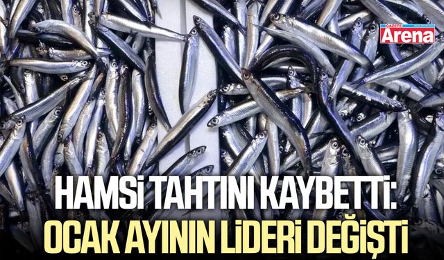 Hamsi tahtını kaybetti: Ocak ayının lideri değişti