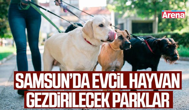 Samsun’da evcil hayvan gezdirilecek parklar