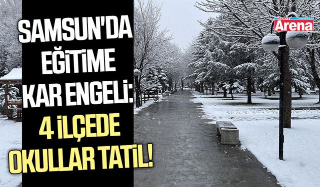 Samsun'da eğitime kar engeli: 4 ilçede okullar tatil!