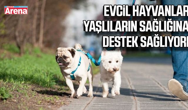 Evcil hayvanlar yaşlıların sağlığına destek sağlıyor
