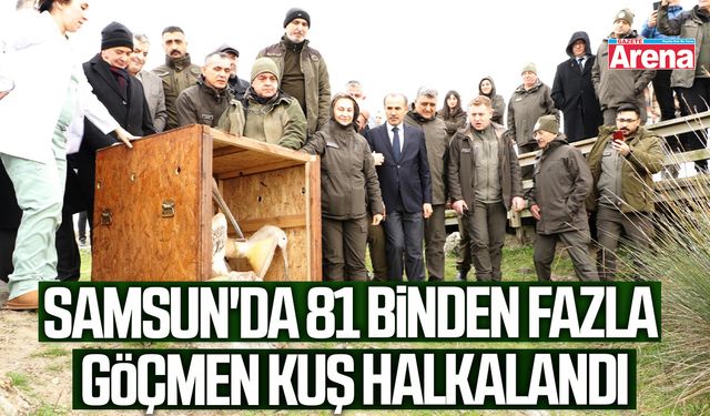 Samsun'da 81 binden fazla göçmen kuş halkalandı