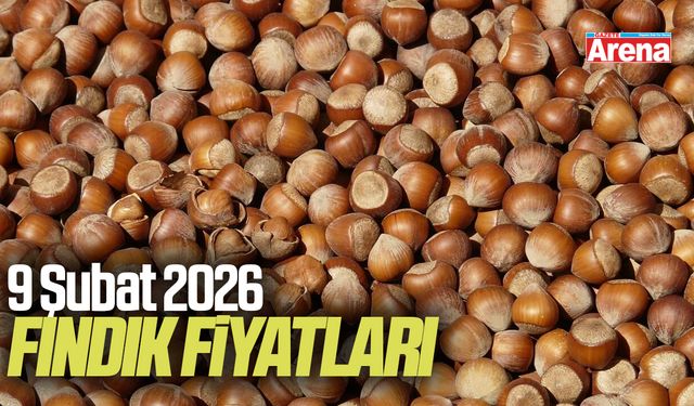 9 Şubat 2026 güncel fındık fiyatları