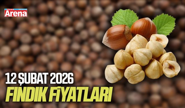 12 Şubat 2026 güncel fındık fiyatları
