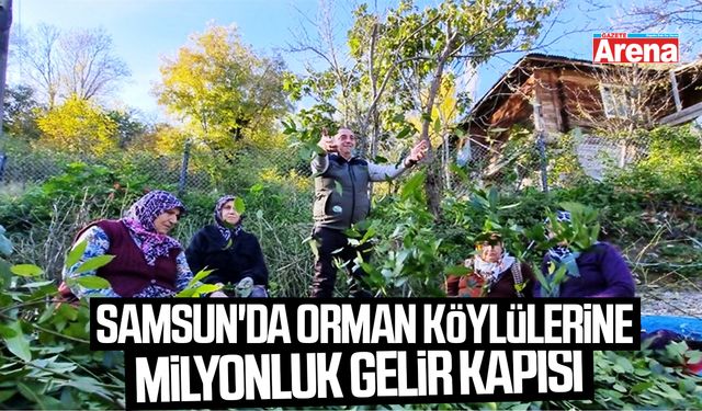 Samsun'da orman köylülerine milyonluk gelir kapısı
