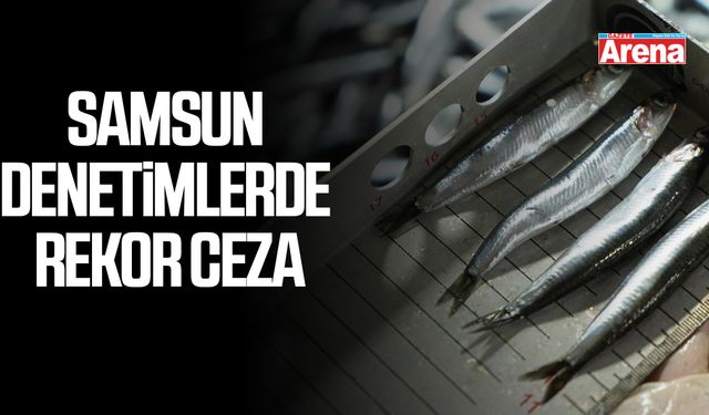Samsun denetimlerde rekor ceza