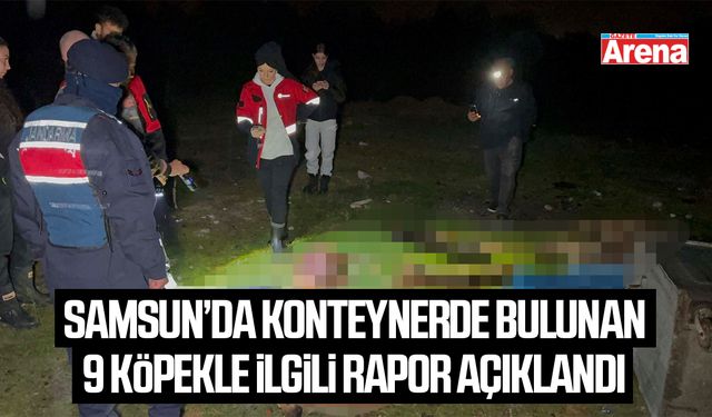Samsun’da konteynerde bulunan 9 köpekle ilgili rapor açıklandı