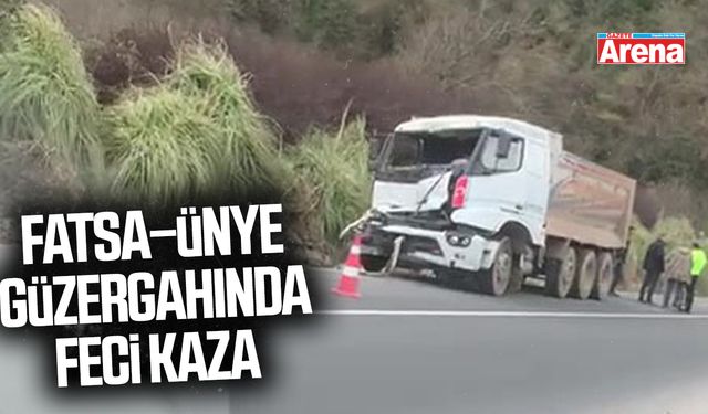 Fatsa-Ünye  tünelinden feci kaza