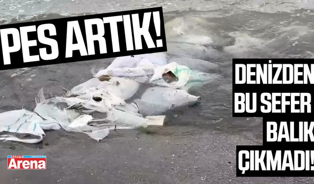 Samsun'da denizden çıkanlar pes dedirtti!