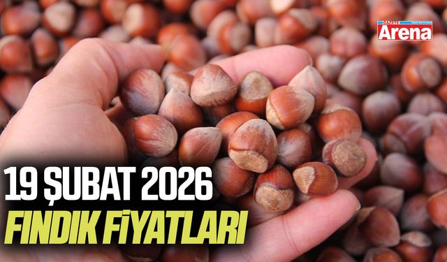 19 Şubat 2026 güncel fındık fiyatları