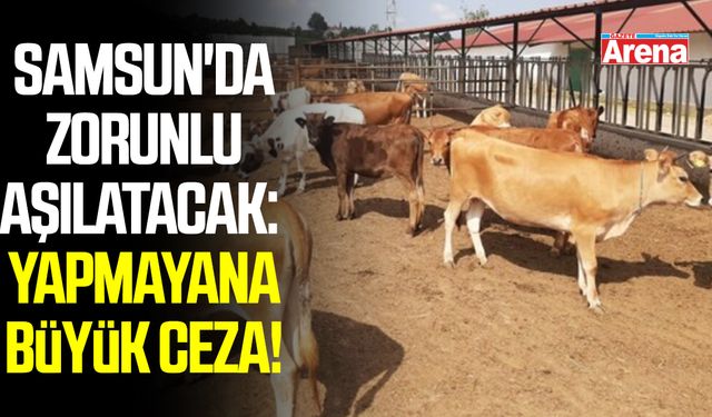 Samsun'da zorunlu aşılatacak: Yapmayana büyük ceza!