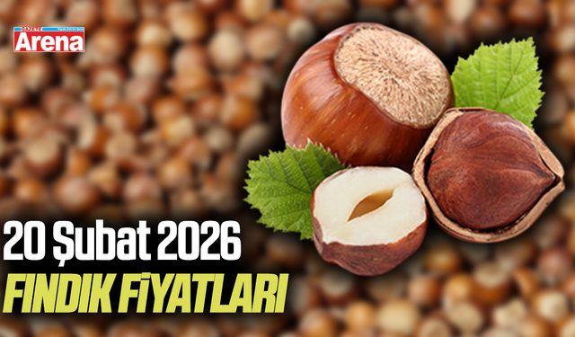 20 Şubat 2026 güncel fındık fiyatları