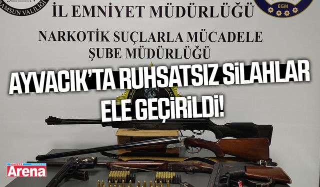 Ayvacık’ta ruhsatsız silahlar ele geçirildi!