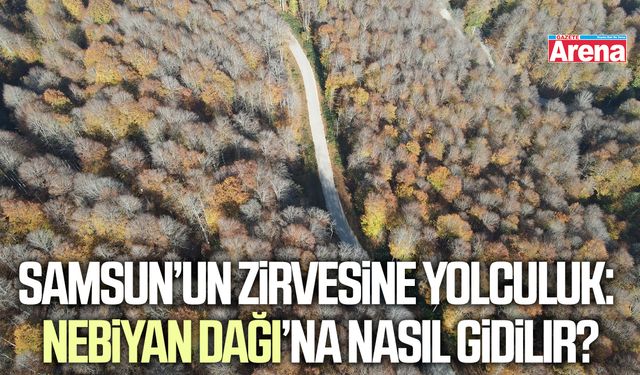 Samsun’un zirvesine yolculuk: Nebiyan Dağı’na nasıl gidilir?