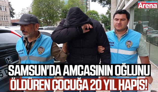 Samsun'da amcasının oğlunu öldüren çocuğa 20 yıl hapis!