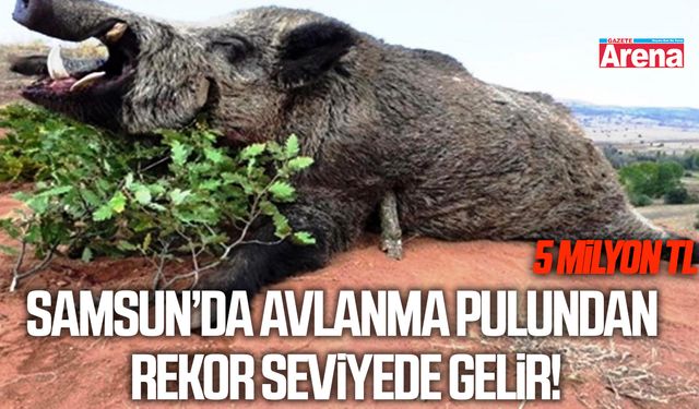 Samsun’da avlanma pulundan rekor seviyede gelir!