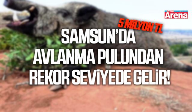 Samsun’da avlanma pulundan rekor seviyede gelir!