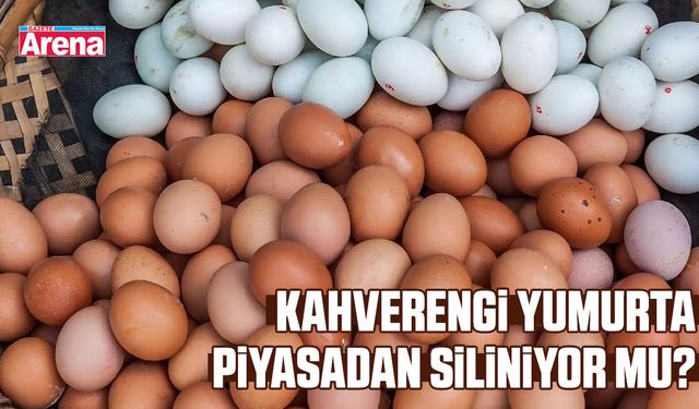 Kahverengi yumurta piyasadan siliniyor mu?