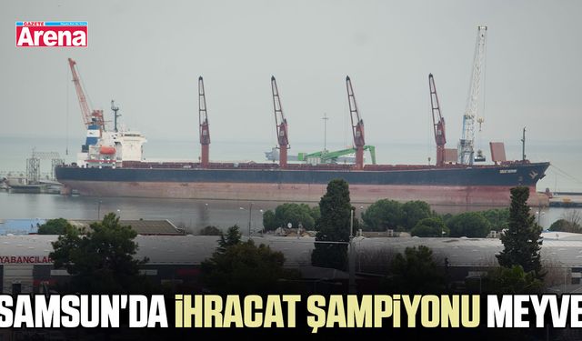 Samsun'da ihracat şampiyonu meyve