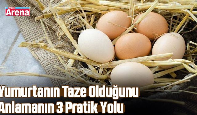Yumurtanın taze olduğunu anlamanın 3 pratik yolu