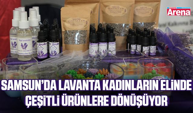 Samsun'da lavantadan yağ, mum ve kolonya yapılıyor