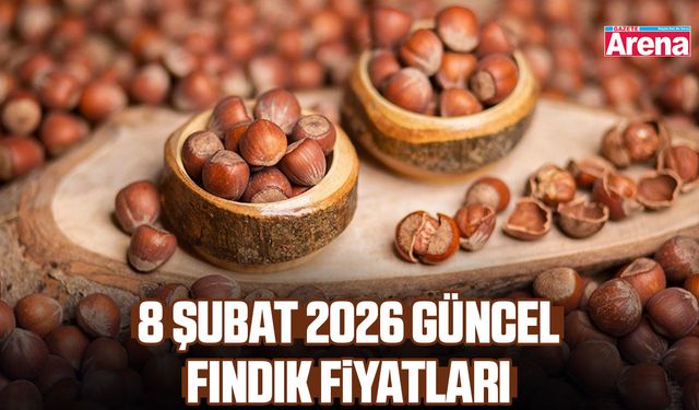 8 Şubat 2026 güncel fındık fiyatları belli oldu