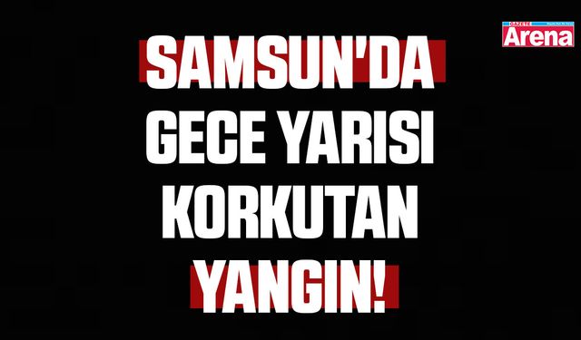 Samsun'da gece yarısı korkutan yangın!