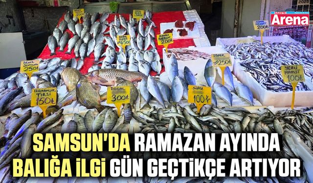Samsun'da Ramazan ayında balığa ilgi gün geçtikçe artıyor